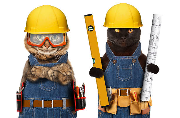 istock Funny cat are wearing a suit of builder. 588978168
