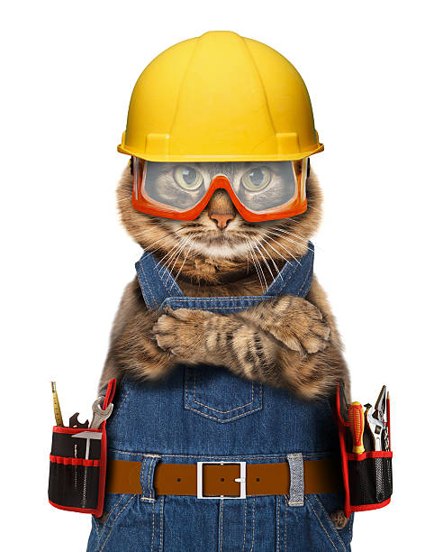 istock Funny cat is wearing a suit of builder. 588978250