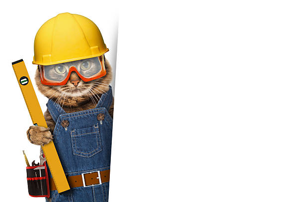 istock Funny cat is wearing a suit of builder. 588978344