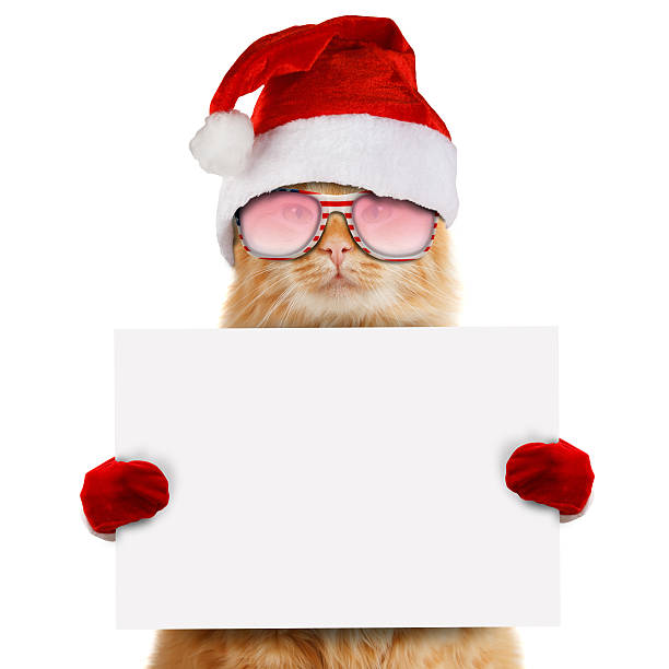 istock Funny cat in christmas hat holding white banner 588980386