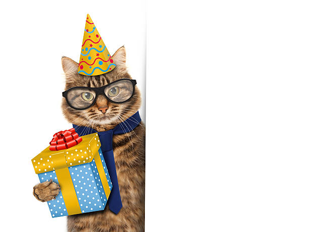 istock Funny cat celebrates birthday 588981634