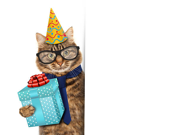 istock Funny cat celebrates birthday 588981672