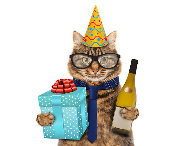 istock Funny cat celebrates birthday 588981716