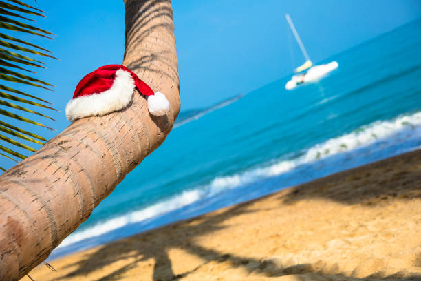 Santa hat resting on Palm tree in the tropics stock photo