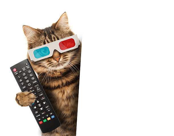 istock Funny cat with a remote control to TV 588982436