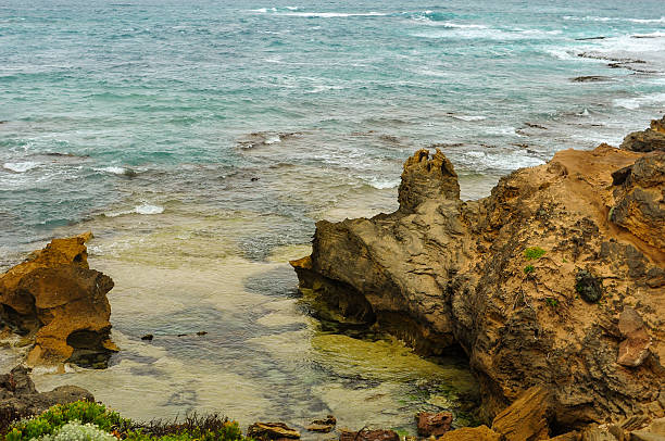 istock Shore of the Pacific ocean 588982512
