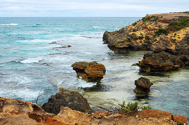 istock Shore of the Pacific ocean 588982922