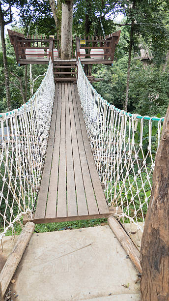 istock suspension footbridge to go to terrace on tree 588982938
