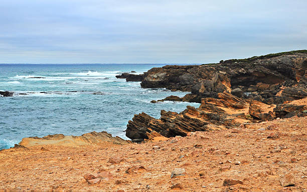 istock Shore of the Pacific ocean 588983072