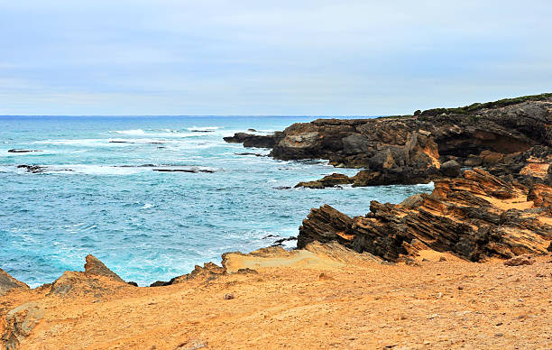 istock Shore of the Pacific ocean 588983106