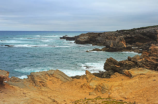 istock Shore of the Pacific ocean 588983322