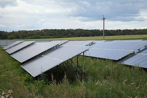 istock Sunlight gleams off solar panels in field. 588983350