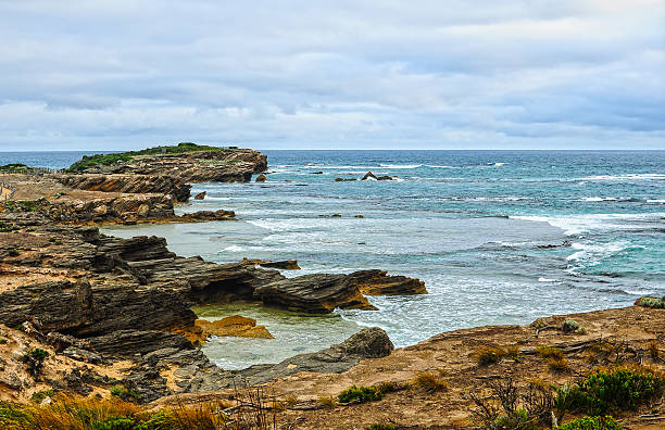 istock Shore of the Pacific ocean 588983566
