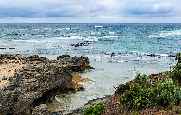 istock Shore of the Pacific ocean 588983768