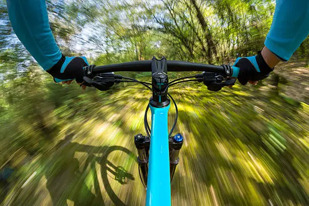 fast dynamic bicycle in the woods