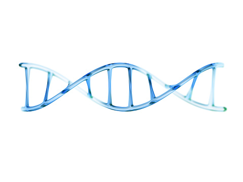 fragment of human DNA molecule, 3d illustration isolated on white background