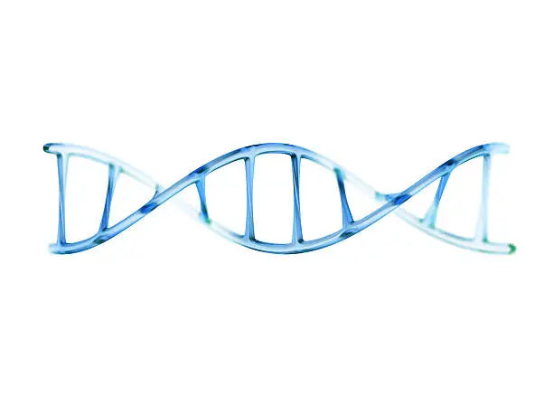 Photo of fragment of human DNA molecule, 3d illustration isolated on whit