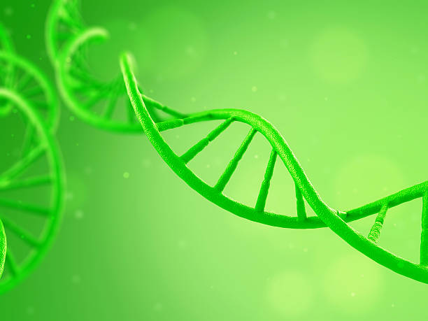 istock DNA Plants on a green background 588986220