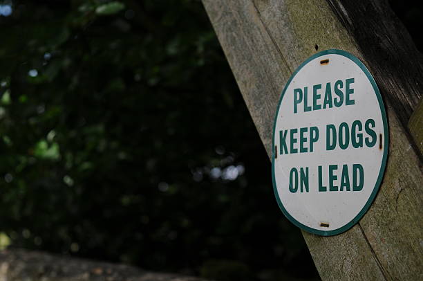 istock Dogs on a lead sign 588989148