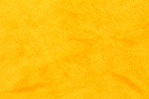 Studio photo of yellow shag carpet detail