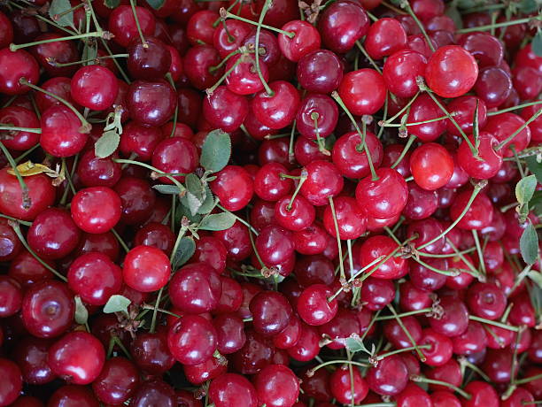 istock cherries organic market 588991650