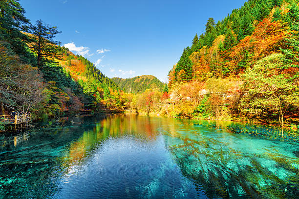 istock Colorful autumn forest reflected in the Five Flower Lake 588997010