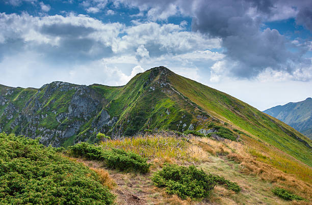 istock Sunny summer scene in the mountains. 588998164