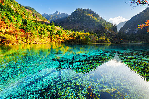 istock Beautiful yellow autumn forest reflected in the Five Flower Lake 588998166