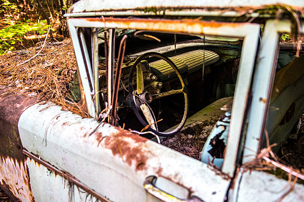 istock Derelict Classic American Cars 588999214