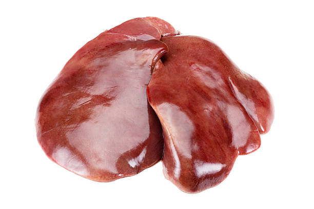 Raw turkey liver stock photo