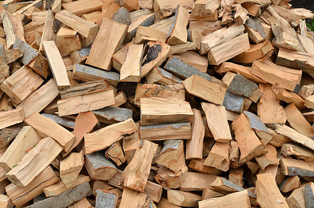 istock Pile of Logs as Background 588999726