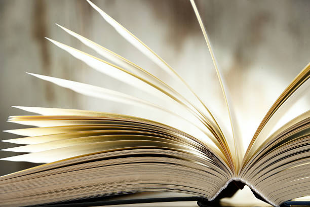 istock Composition with hardcover book on the table 589000358