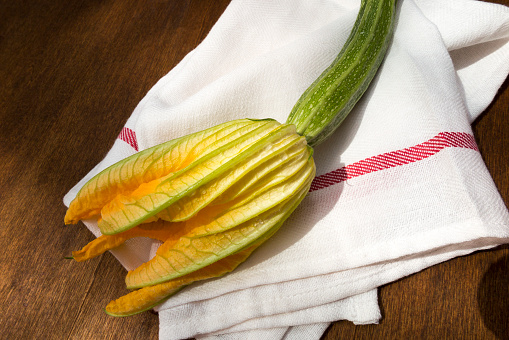 Close up of one zucchini with its beautiful flower on a wooden, brown, background