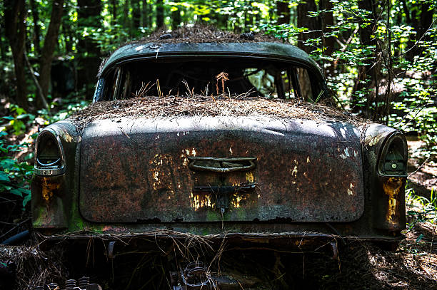 istock Derelict Classic American Cars 589000846