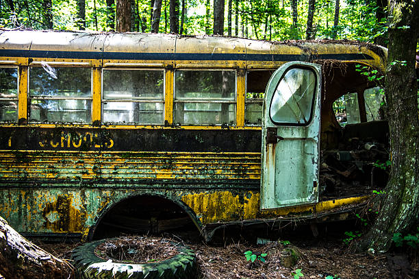 istock Derelict Classic American Cars 589000908