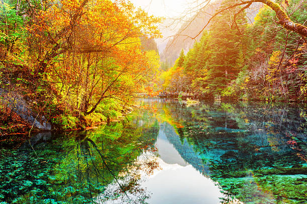 istock The Five Flower Lake. Colorful fall woods reflected in water 589087466