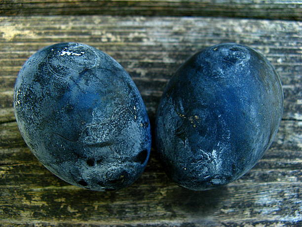 istock Kurotamago - Black Eggs in Owakudani, Japan 589088186