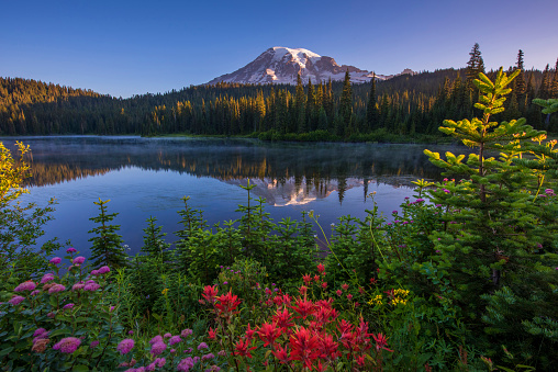 Reflection Lake with Mt Rainier on the background is one of the most beautiful places in Mt Rainier NP.