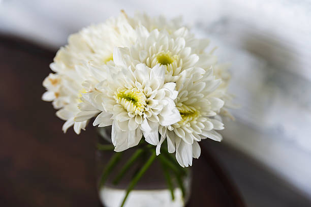istock White Chrysanthemum flower in glass 589093344