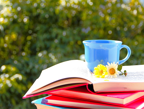 A pile of books and a blue cup of coffee with daisies flowers on sunny outdoor morning, southern Brazil.  