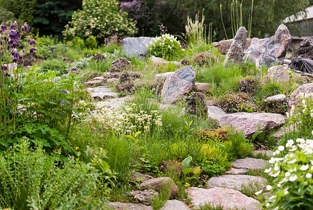 istock Alpine Garden with flowers 589096598