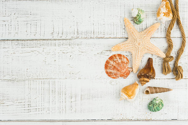 istock fish star and sea shells on the wooden background 589096714