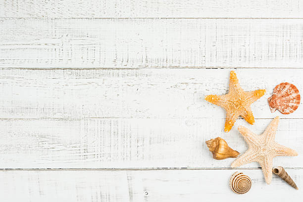 istock fish star and sea shells on the wooden background 589096764