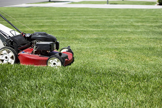 istock Mowing the lawn outdoors 589099616