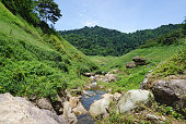 wasserbach-im-wald-in-thailand.jpg?b=1&s=170x170&k=20&c=9KMNg6QNuRwS9Xh4QsDShFXzUpaAZVGn6JFcjdBY9Dw=