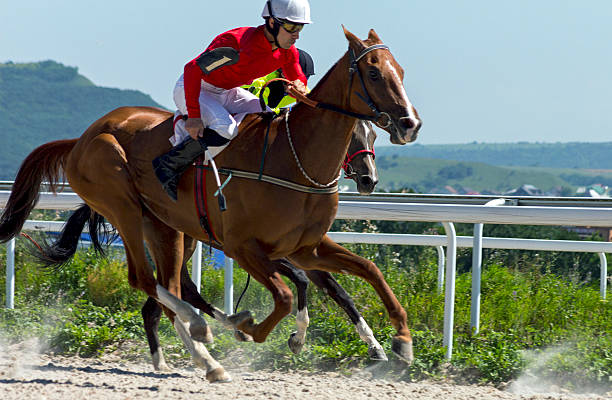 istock Horse racing in Pyatigorsk. 589104458