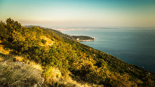 evening in the bay of Trieste in a summer day