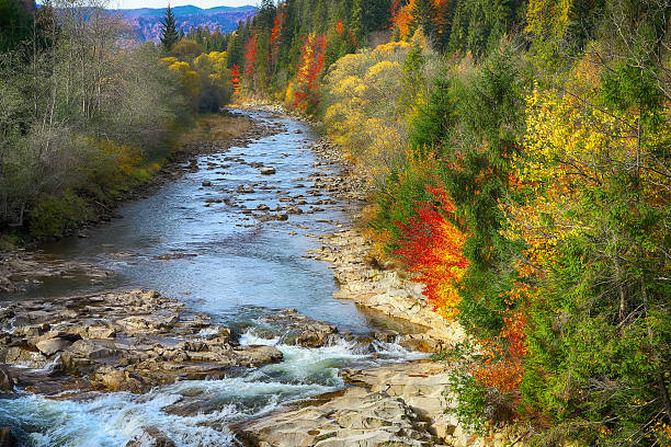 istock Autumn creek woods  and rocks in forest mountain. 589110528