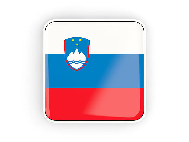 Flag of slovenia, square icon with white border. 3D illustration