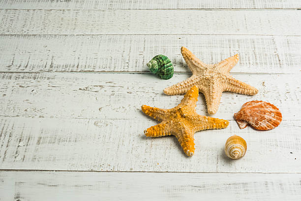 istock fish star and sea shells on the wooden background 589111442